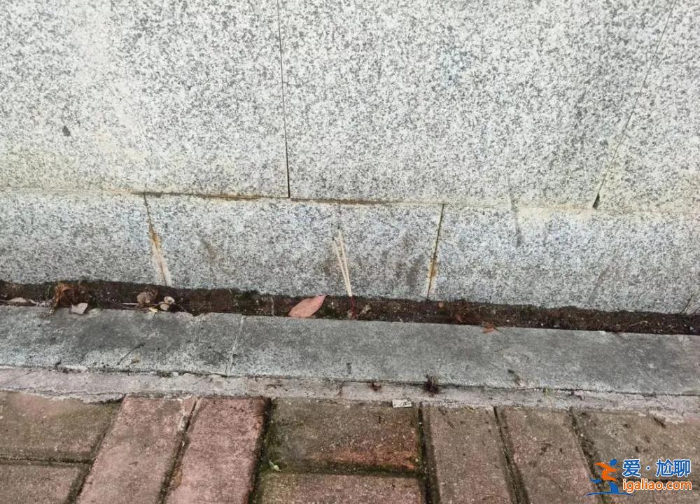 長沙一幼兒園門口車禍致被撞母女身亡 事故雙方均系送幼兒上學家長? 長沙一幼兒園門口車禍致被撞母女身亡 事故雙方均系送幼兒上學家長?