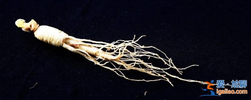 “東北參王”欠薪欠稅 借錢囤了60億人參 寧愿退市也不賣？