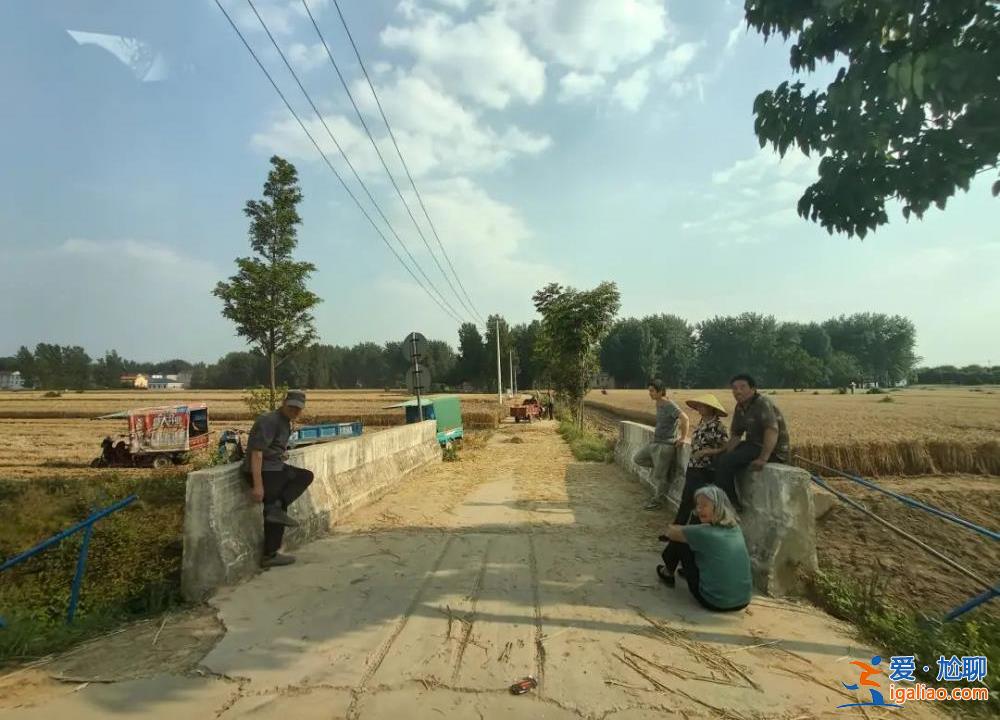 一臺到河南的收割機 被安徽村民熱情友好留下就地作業？