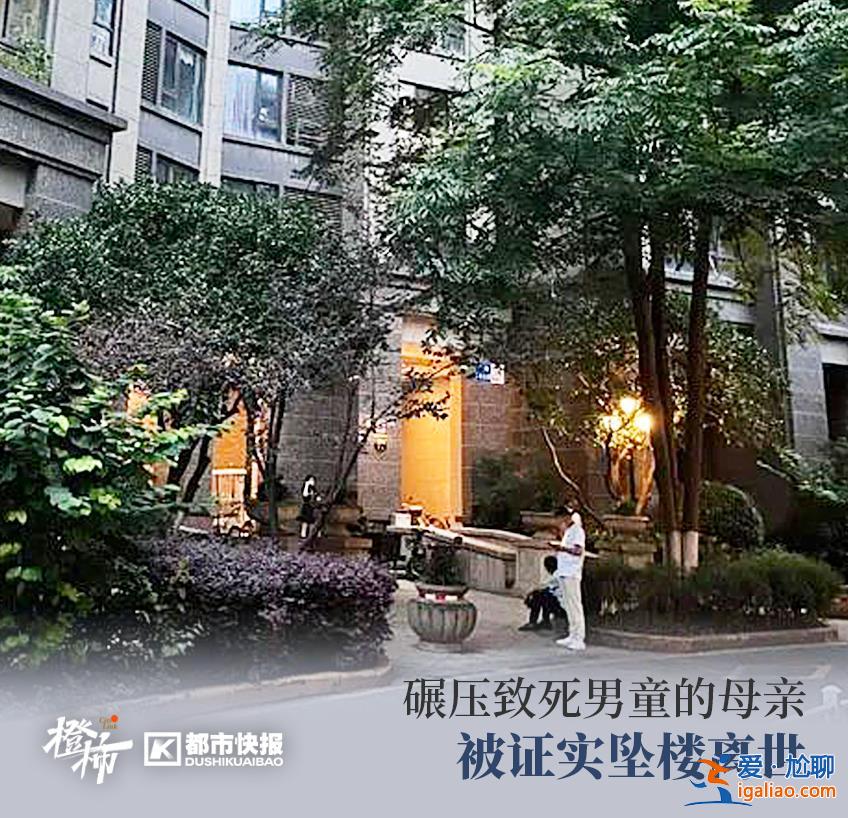 被撞身亡學生母親墜樓 百萬粉絲大V被封 律師建議刑法增加網暴罪名？