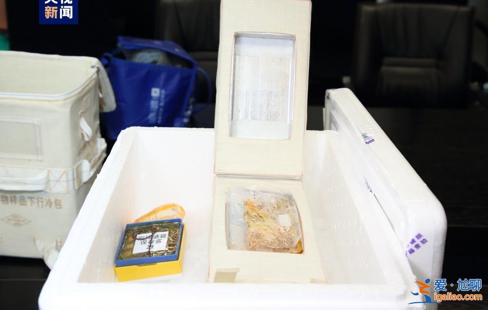 中國空間站第四批空間科學實驗樣品順利返回并交付實驗科學家？