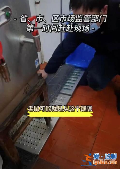 一高校食堂疑吃出老鼠頭學校回應是鴨脖 校方曾因老鼠問題被聯合執法？