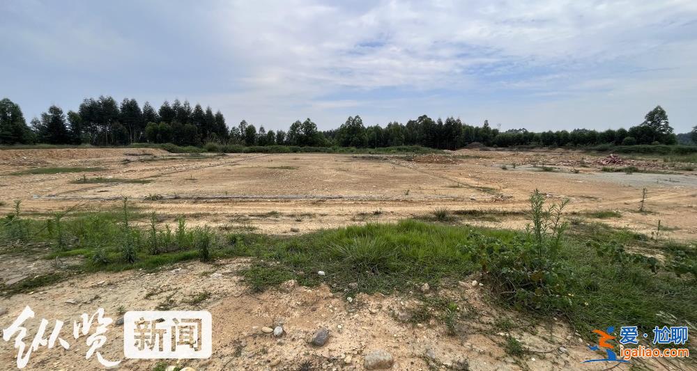 四川一招商引資項目停工荒廢 村民稱當初不同意土地流轉(zhuǎn)反遭副鎮(zhèn)長呵斥“有多遠滾多遠”？