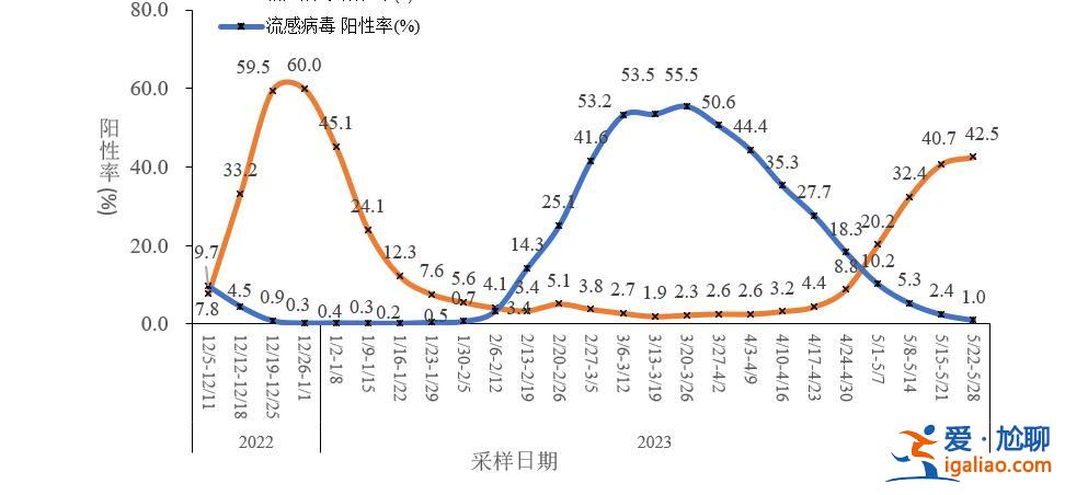 XBB及其亞分支占比增長到92.4% 疫情呈下降趨勢？