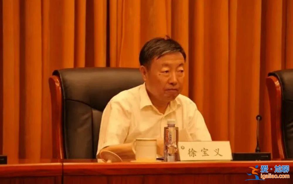 落馬前“消失”了幾個月！“老虎”徐寶義獲刑 一個細節發生了變化？