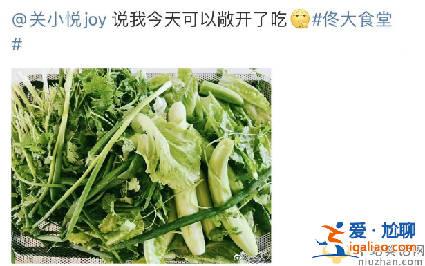 佟大為最新消息!常年吃水煮菜顯老態引爭議