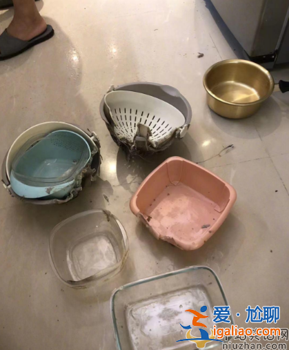 歌手黃安現狀曝光!家里發生瓦斯爆炸，親人意外被灼傷