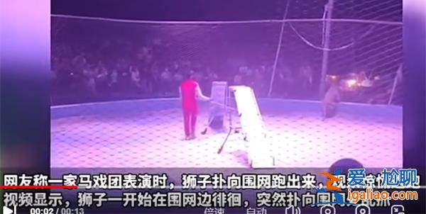 馬戲團獅子表演時欲上演出逃記，觀眾被嚇跑[獅子表演]？
