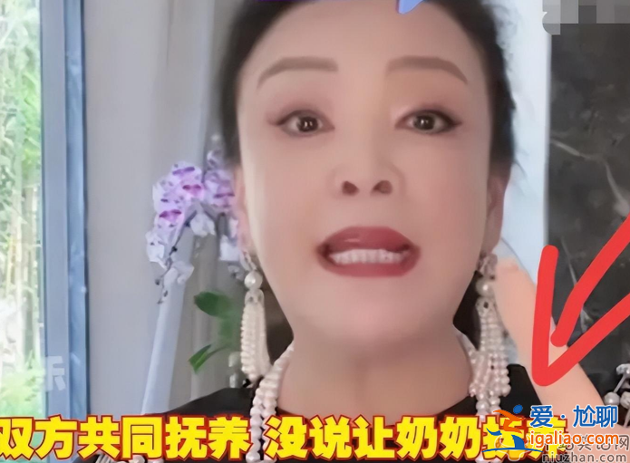 汪小菲接孩子回京受阻！張蘭曝大S要6000萬保證金，孩子成人質?