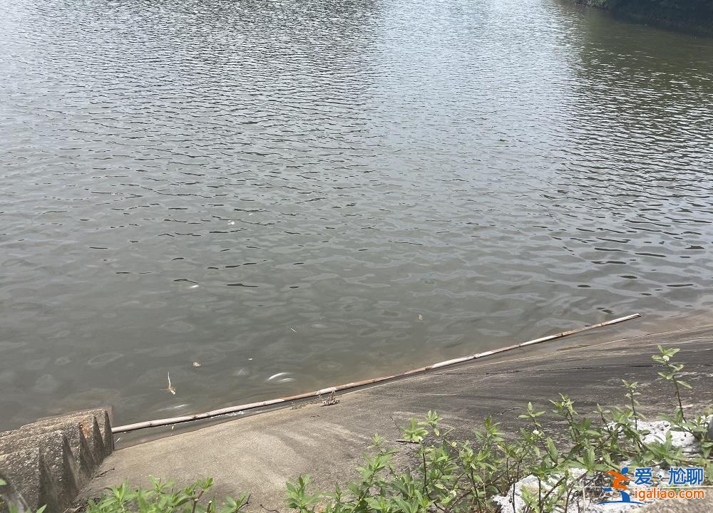 水中托舉孩子直到他獲救？
