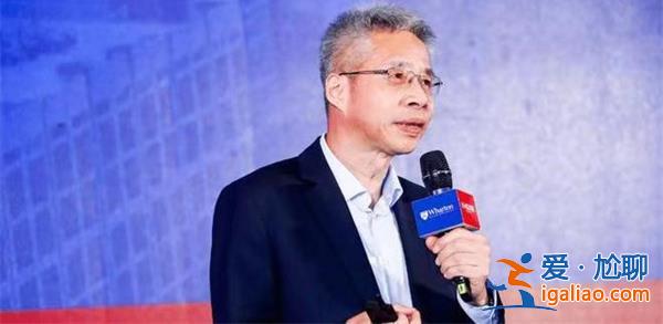 李迅雷稱當前中國與1990年日本資產負債衰退情況有所不同[李迅雷]？