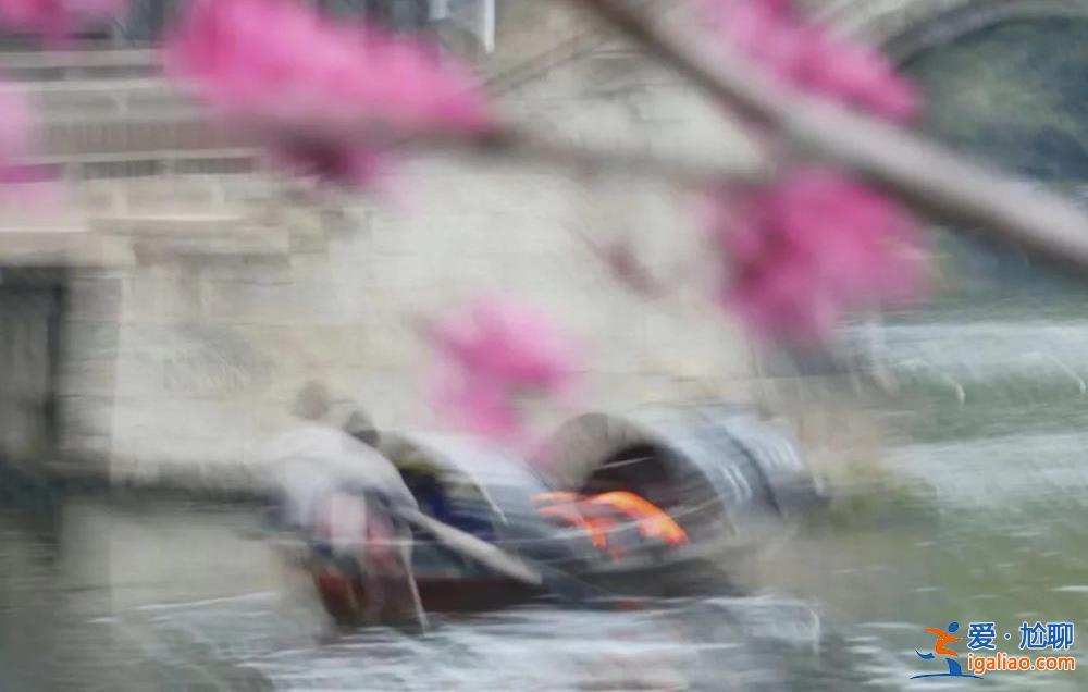 “糊不糊”的攝影大展 大家“服不服”?? “糊不糊”的攝影大展 大家“服不服”??