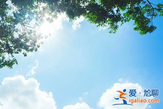 長達40天的三伏來襲 你準備好進入“燒烤+桑拿”模式了嗎？？