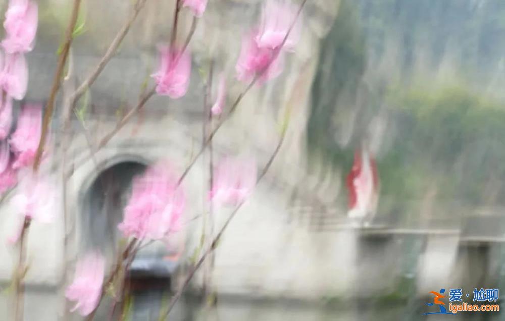 “糊不糊”的攝影大展 大家“服不服”?? “糊不糊”的攝影大展 大家“服不服”??