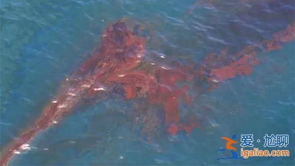 外交部表示誰認為核污水可以喝就提供給誰[核污水]？