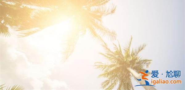 三伏天曬背最佳時間表，三伏天曬背有何好處[曬背]？