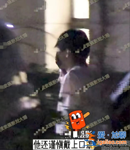 曝王鷗男友何九華出軌！王鷗何九華結婚了嗎?