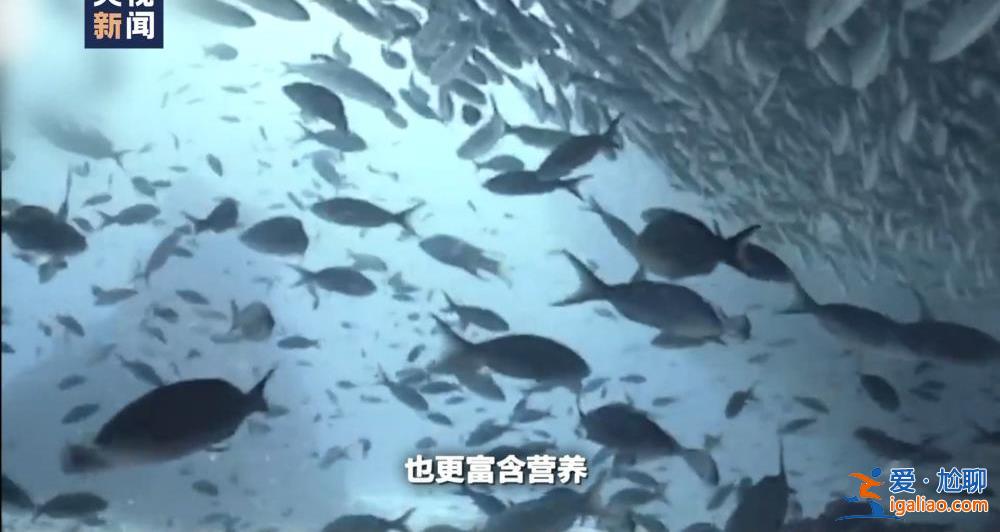 全球多地再迎高溫“炙烤” 最高氣溫高達45攝氏度？