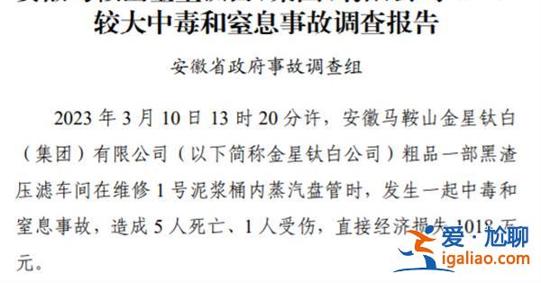 企業(yè)發(fā)生較大中毒事故致5死1傷，多人被問(wèn)責(zé)處理[問(wèn)責(zé)處理]？