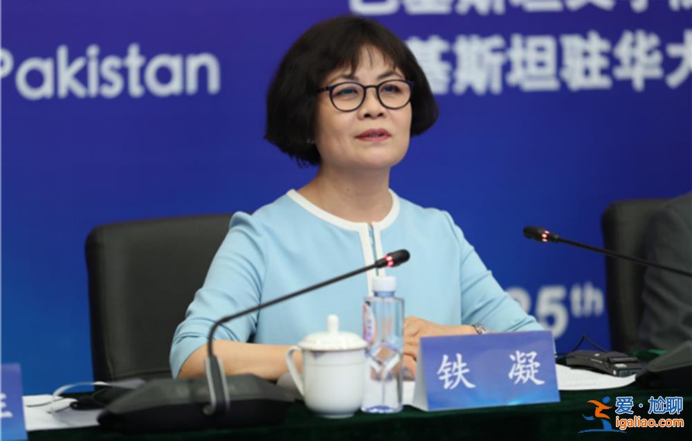 中國作協主席、作家鐵凝有了外事新頭銜? 中國作協主席、作家鐵凝有了外事新頭銜?