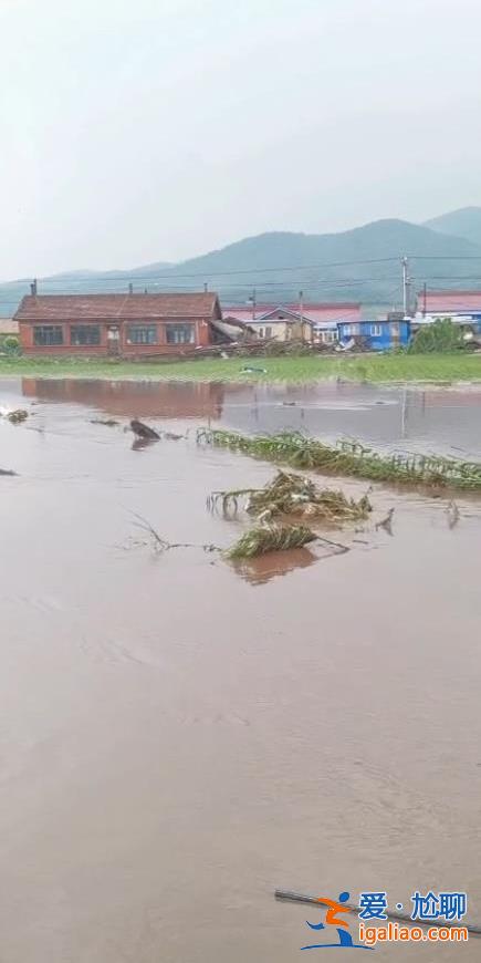 吉林舒蘭暴雨副市長等人失聯 村民發現一具遺體 身份尚未確認？