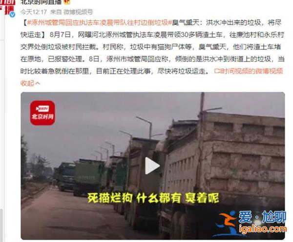 涿州執法車凌晨帶隊往村邊倒垃圾，為何倒垃圾在村邊[凌晨帶隊]？