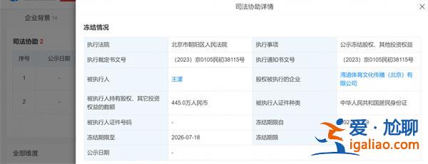 王濛所持445萬股權被凍結 為什么會被凍結？