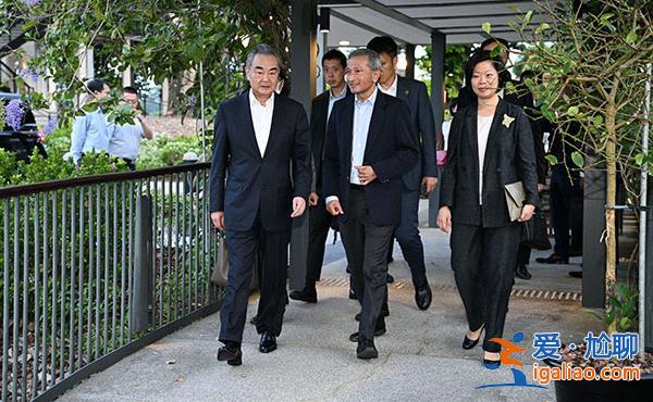 王毅會見新加坡外長維文？