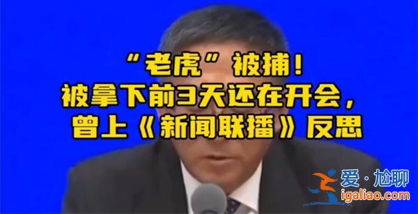 老虎被捕，曾上新聞聯播，引起大家反思[反思與警示]？