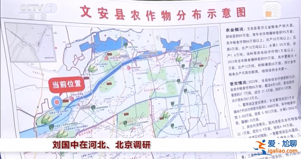 “十分重要和緊迫”！國務院副總理劉國中下地看玉米長勢？