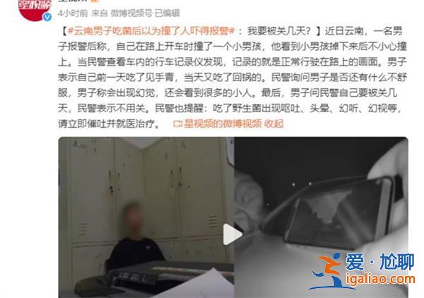男子吃菌產生駕車撞人幻覺后自首，為何吃菌子會有幻覺[會有幻覺]？