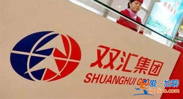 雙匯發展上半年營收304億增逾9%，凈利潤28億[增長超過9]？