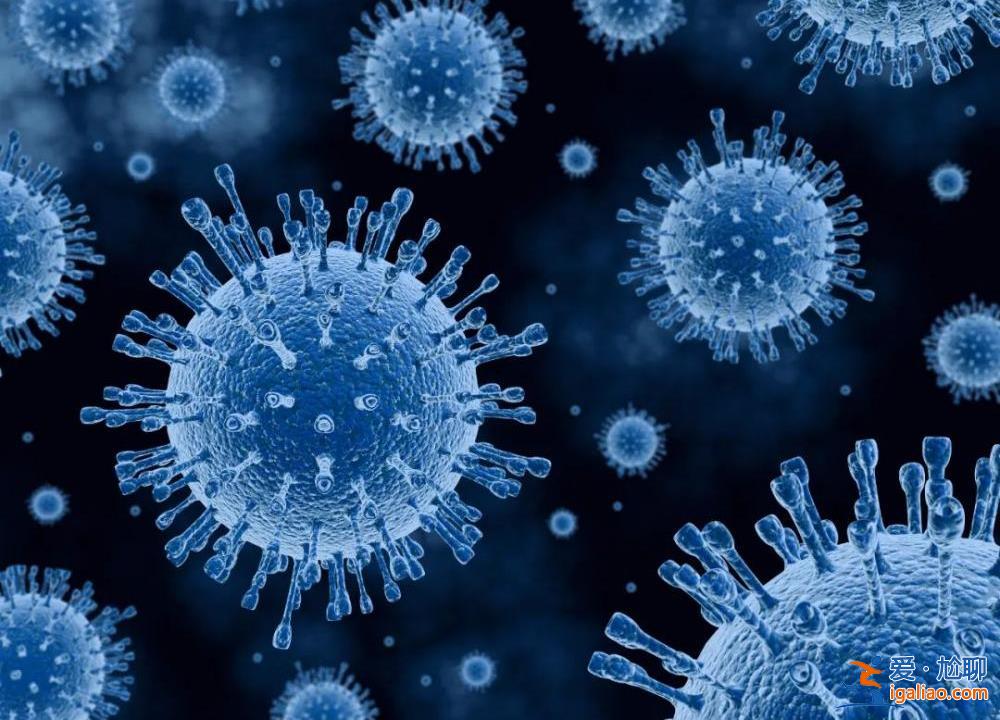 專家醞釀將其命名“Pi” 四國出現社區傳播？