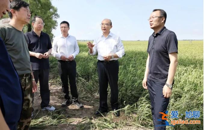 中央政治局常委會會議后 3位省委書記同日外出調研檢查 有幾個細節？