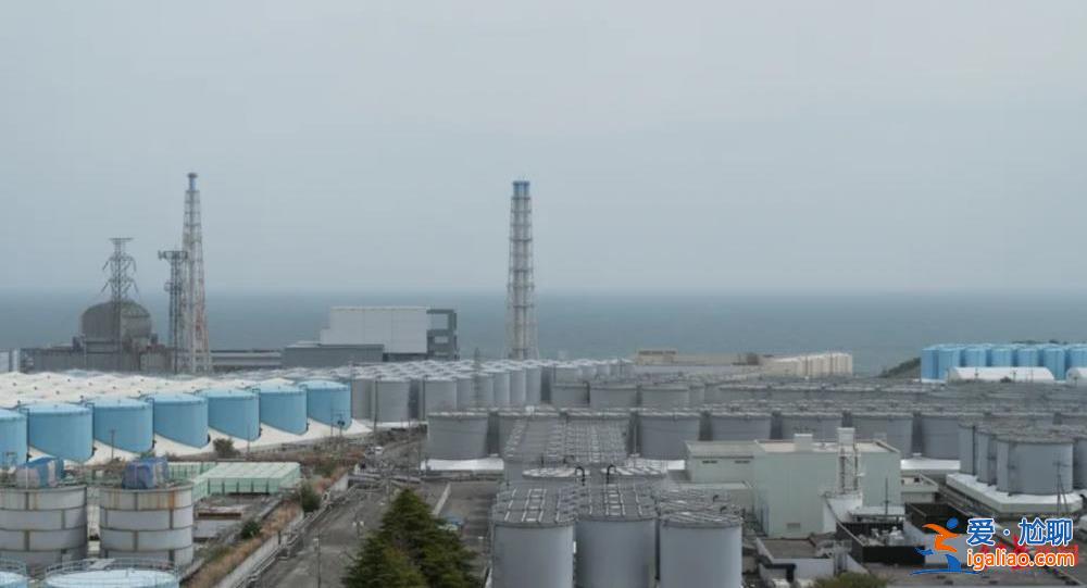 人工養殖或成主流? 人工養殖或成主流?