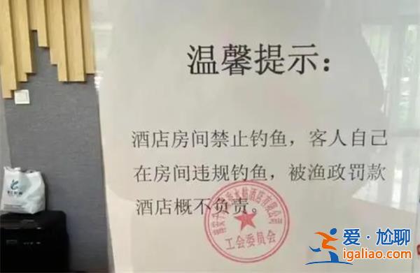 杭州一酒店房間里可以釣魚[酒店]？