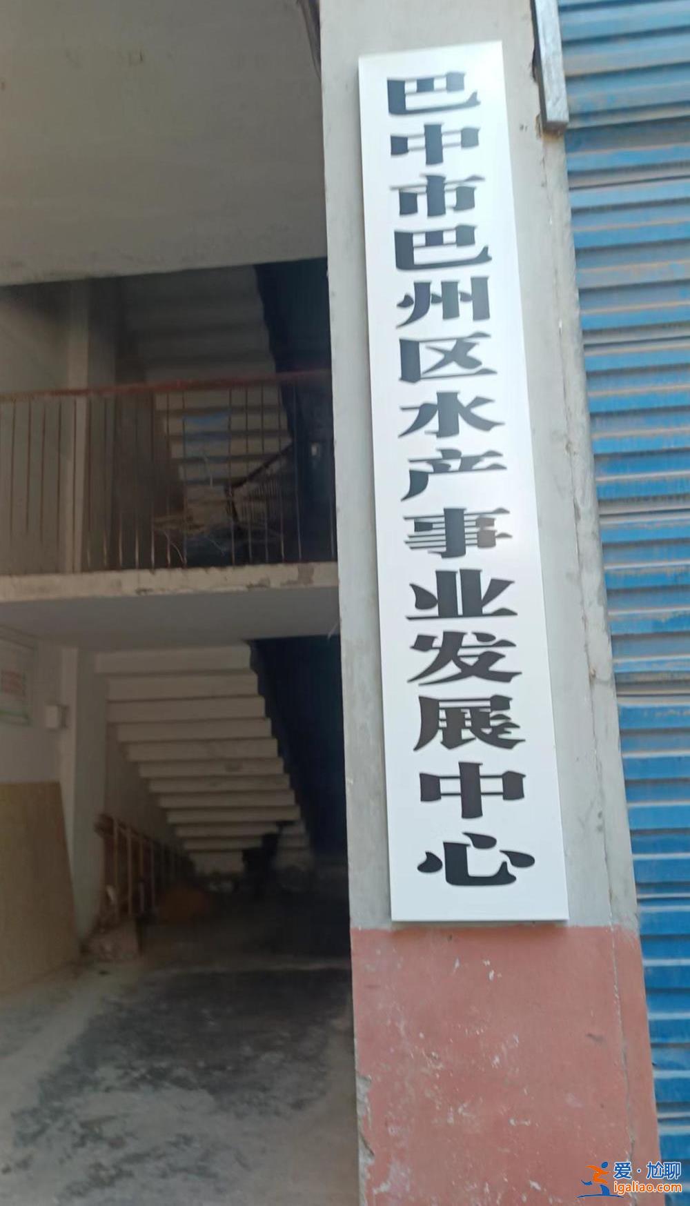 四川某海洋樂園冷庫發現16只保護動物死體 事涉盜獵案 部門稱已整改？