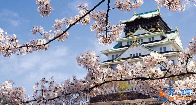 很多日本游已經(jīng)開始退團(tuán)[退團(tuán)]？