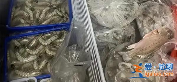 媽媽欲買海鮮囤滿冰柜？