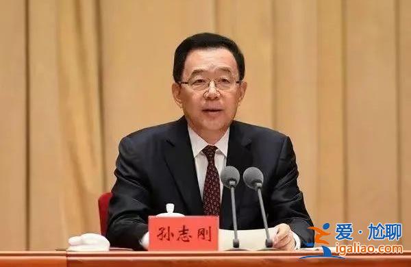 貴州省委原書記孫志剛被查 曾任國務院醫改辦主任？