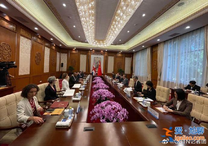 王毅會見英國外交大臣？