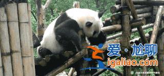感冒不能吹風(fēng) 在室內(nèi)玩？
