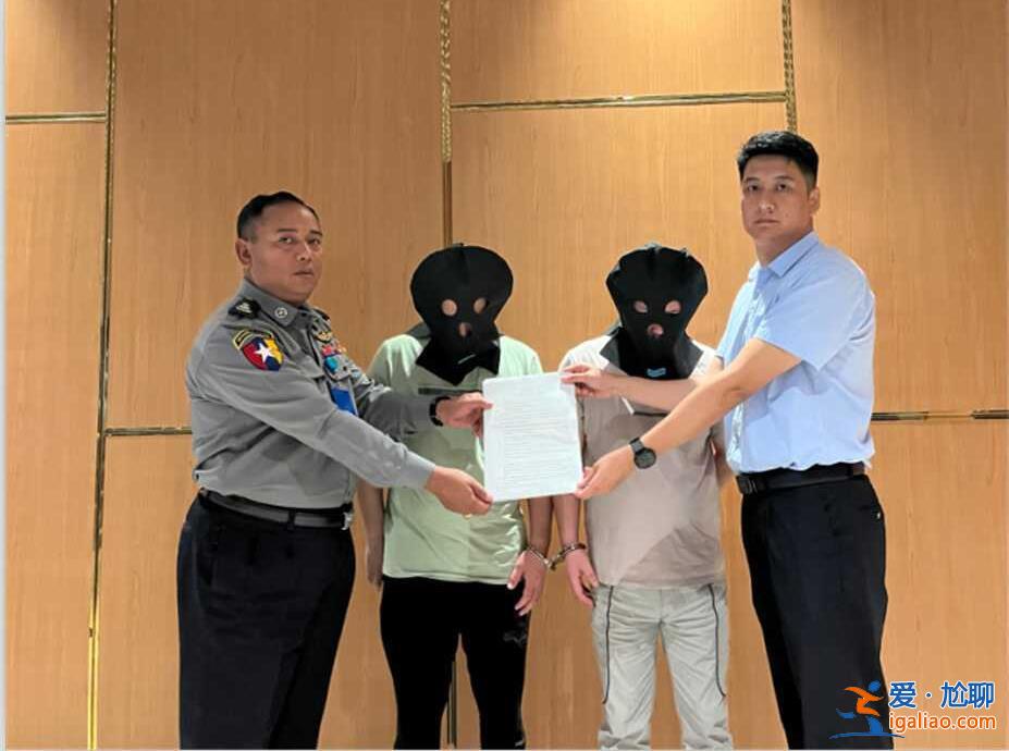 配合調查后解答公眾關注問題？