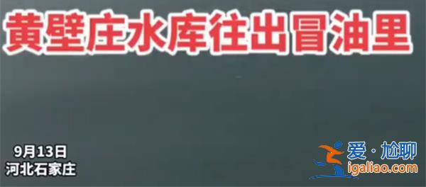 石家莊一水庫不斷冒油？