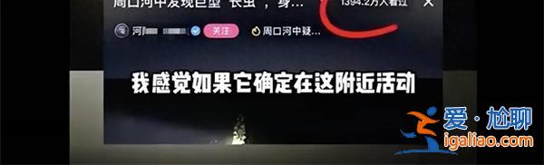 周口河中現(xiàn)巨型長(zhǎng)蟲(chóng)當(dāng)?shù)鼗貞?yīng)，巨型長(zhǎng)蟲(chóng)注意這一點(diǎn)[ 巨型長(zhǎng)蟲(chóng)注意]？