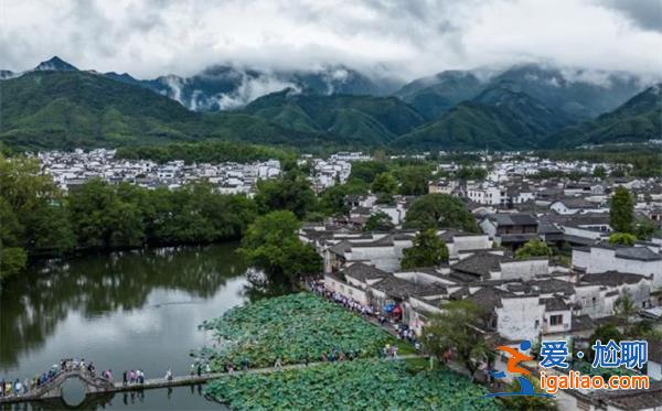 九名市（州）長進(jìn)京檢討，以下是要其檢討的原因[進(jìn)京]？