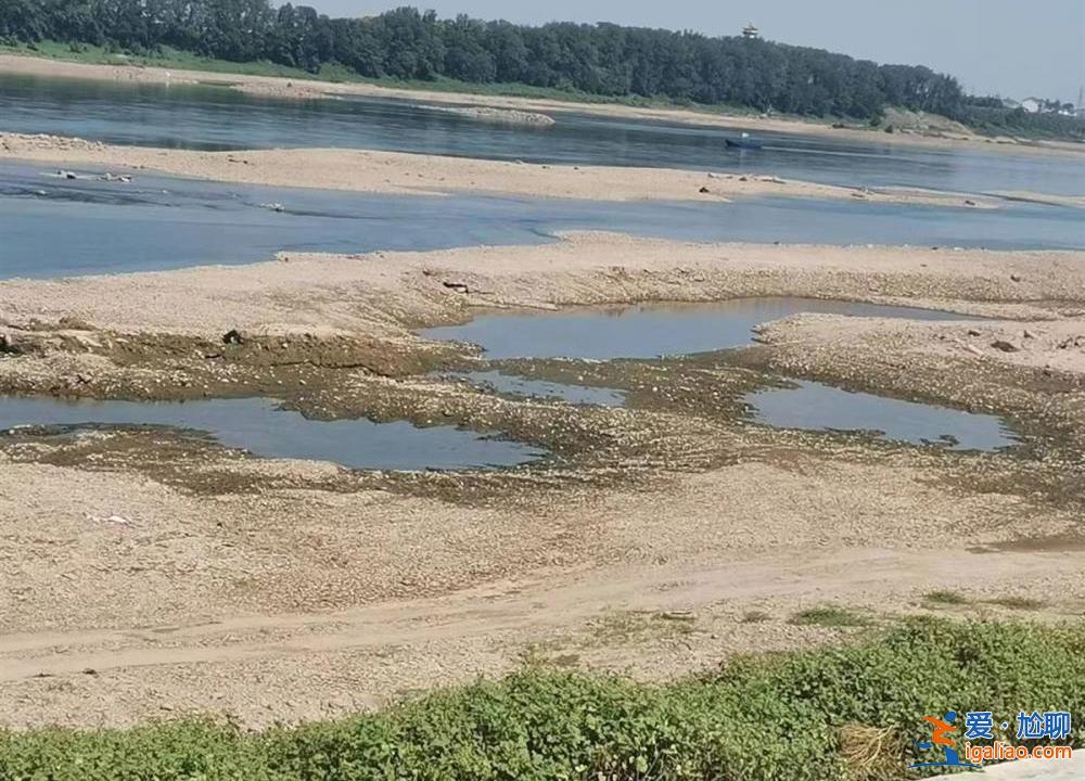 家長稱事發前上游水電站排水量突增 水電站回應？
