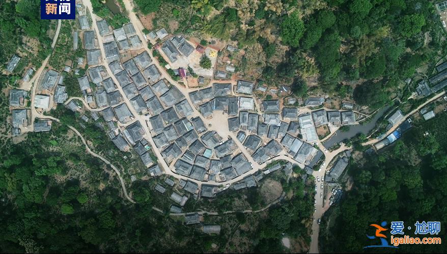 歷經(jīng)13年申遺 云南“普洱景邁山古茶林”列入世界遺產(chǎn)？