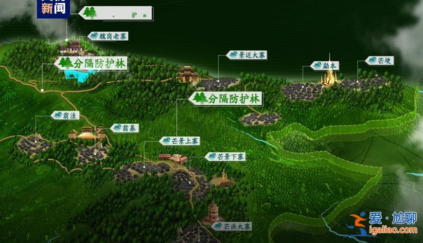 歷經(jīng)13年申遺 云南“普洱景邁山古茶林”列入世界遺產(chǎn)？