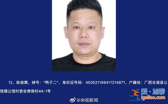 為非作惡稱霸一方 廣西征集陳繼才等人涉黑犯罪線索? 為非作惡稱霸一方 廣西征集陳繼才等人涉黑犯罪線索?